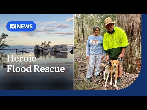 Rescues and recovery efforts in flood affected NSW | ABC NEWS