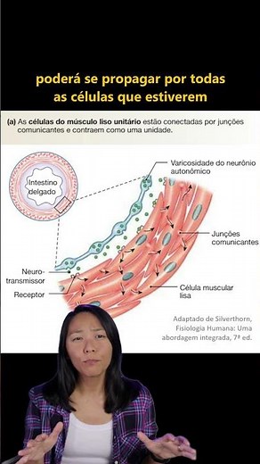 SMOOTH MUSCLE TYPES: UNITARY VS MULTI-UNITARY | Physiology Shots | MK Physiology #shorts