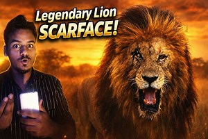 Legendary lion scarface | karan