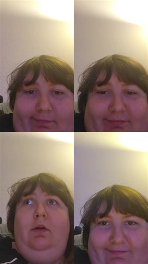 Understanding Webkinz Worth and More