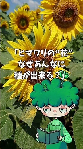 ヒマワリには、なぜあんなに種ができる！？ #植物 #プチ知識