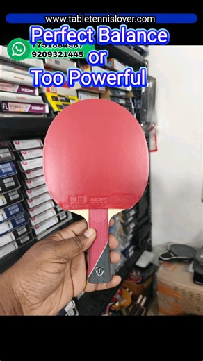 Is This the Best Bat Setup for Table Tennis?