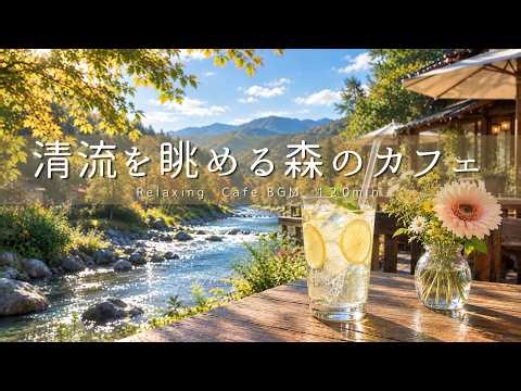 【癒しBGM】秋の気配を感じる、川辺の静かなカフェ🍂 木漏れ日と清流を眺めて心やすらぐ時間｜Relaxing Cafe BGM120min｜リラックス・読書・勉強・作業用音楽