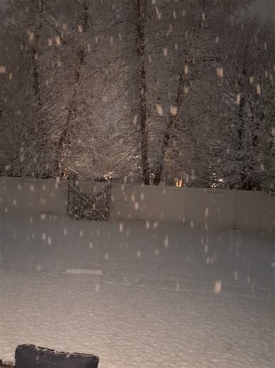 Understanding the Meaning Behind Windshield vs. Rearview Mirror