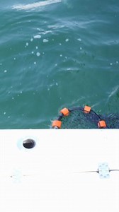 Started out the day with a chum bag in the water! #netfishing #bait | Groupermvp