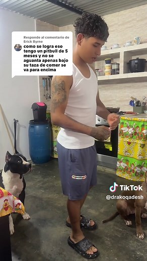 Cómo entrenar a un cachorro de Pitbull: consejos útiles