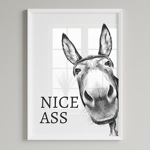 Nice Ass - Funny Donkey Bathroom Art Print - Cheeky Home Decor - Bathroom Wall Art - Toilet Decor - Etsy UK