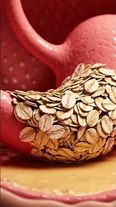 Inside the Human Body: How Oats Are Digested 🌾