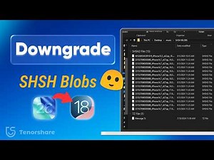 How to Download SHSH Blobs for iPhone Downgrade (2026 Step‑by‑Step Guide)