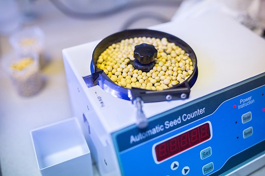 Seed Counters | Grain and Feed Equipment