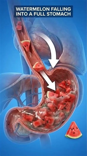 #funny #anatomy #science #biology #doctor #nurse #experiment #education #animation #medicalstudent