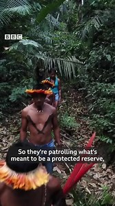 450K views · 4.3K reactions | Indigenous people living in Brazil's Amazon rainforest tell BBC science editor David Shukman they fear their survival is being threatened by the outside world. https://bbc.in/2JbsmFi | BBC News | Facebook