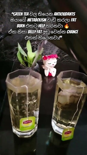 Green tea බීලා ඇත්තටම කෙට්ටු වෙන්න පුළුවන්ද? 😳 #fypシ #greentea #srilanka #viral #onemillionviews