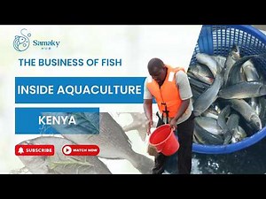 The Business of Fish | Kenya’s Aquaculture Growth and Opportunity