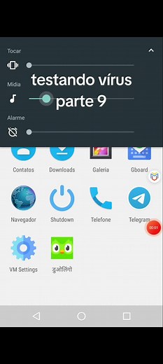 Testando Vírus no Duolingo: Parte 9