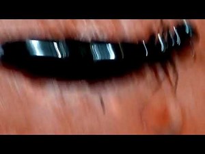 QUEEN.... SAFARI ANTS (SIAFU) DORYLUS QUEEN