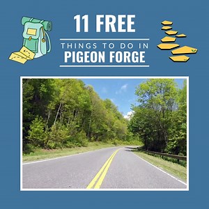 15 reactions | ‍♀️ Are you looking for free things to do with your...