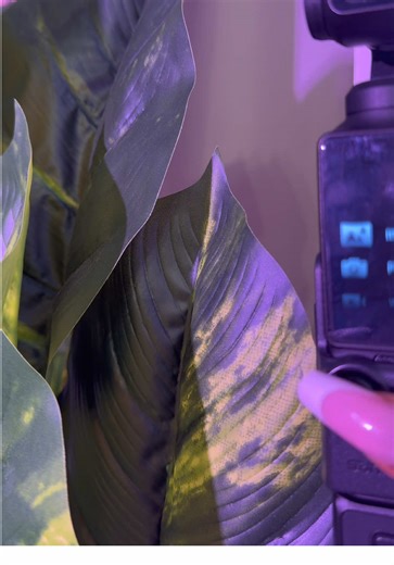 When the Muse and Osmo have ALL the same specs!High-Resolution Video: Captures smooth, high-definition 4K videos at 120fps Ideal for Vloggers: Designed specifically to enhance vlogging experiences Portable Design: Lightweight and easy to carry, ideal for on-the-go videography Quick Focusing: Fast focusing feature for optimal performance Smart Tracking: Facial and object tracking for uninterrupted shooting Stable Footage: Provided by the 3-axis gimbal stabilizer. #xtramuse #dji #vlog #contentcrea