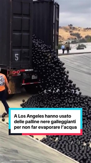 Perché ci sono 96 milioni di palline nere galleggianti su un bacino d'acqua? Si tratta di uno degli esperimenti di ingegneria ambientale più discussi degli ultimi anni. Nel 2015, durante una delle peggiori siccità della storia della California, Los Angeles decise di ricoprire il proprio serbatoio idrico con milioni di shade balls: sfere in polietilene resistenti ai raggi UV e progettate per galleggiare sulla superficie dell'acqua. L'obiettivo principale era semplice: bloccare la luce del sole. C