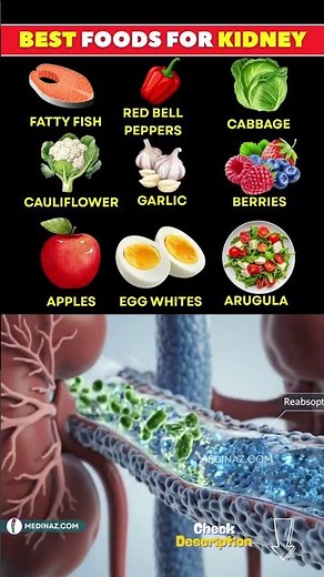 Top 10 Kidney Friendly Foods You Should Add to Your Diet