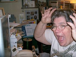 Installing Windows considered as a literary genre