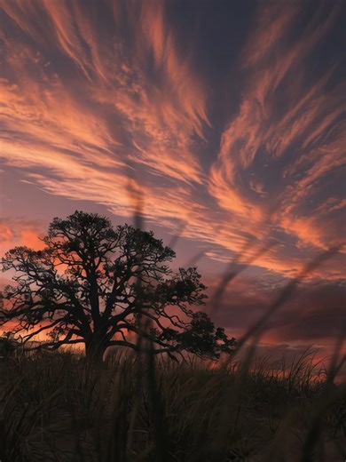 Stunning Sunset Over Nature's Beauty