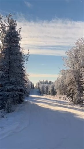 Alaskan Winter Wonderland ❄️ ⛄️ ❄️ | Paul Hannan