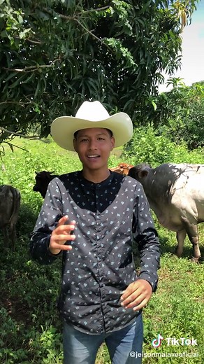 Música Llanera: El Jalabola Llanera y Sus Canciones Únicas