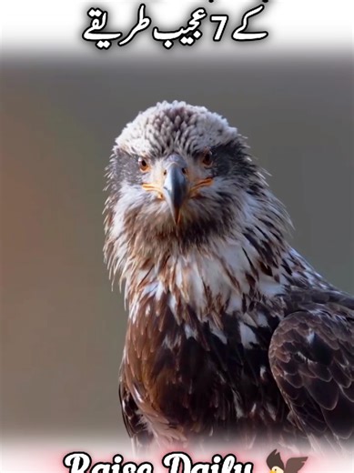 7 Effective Strategies for Self-Control