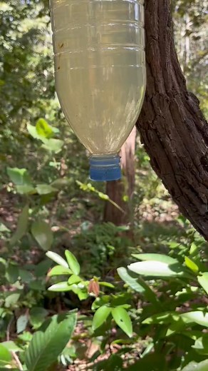 2.6K views | Survival SkillsThe shows andUseful Save SOAPOutdoors bushcraft camping survival #outdoors #skills #camping #bushcraft | Hacky Survival | Facebook