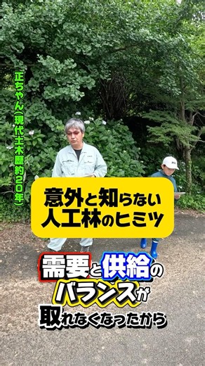 The Surprising Secrets of Man-Made Forests #MunakataCity #NaturalEnvironment #Satoyama