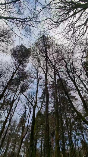 Student Artist Reflections: Balancing Art and Life