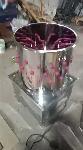 3-4 Bird Chicken feather cleaning Machine in best rate #defeatheringmachine#chickenmachines