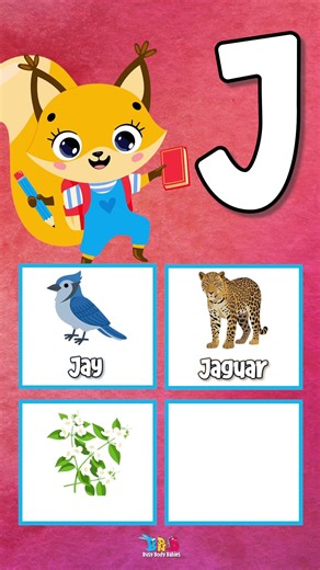 Letter J | Alphabet in Nature Series | ABC Flashcards with 104 Words | A–Z Learning for Kids