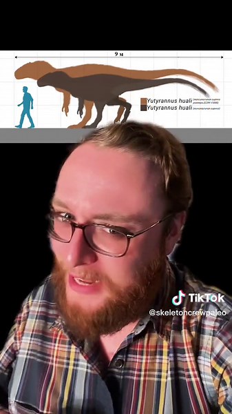 The Largest Feathered Dinosaur: Yutyrannus Tyrant of the Skies