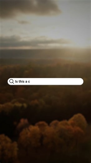 Feeling under the weather? Colds, the flu, RSV, and COVID-19 are all spreading this season, and their symptoms can look surprisingly similar. Our latest blog breaks down how to tell them apart, what symptoms to watch for, and when it’s time to seek care for yourself or your family. Know the signs. Protect your loved ones. Read more here: https://sovahhealth.com/news/2025/11/25/is-it-a-cold--the-flu--or-something-else--how-to-tell-the-difference?utm_source=facebook&utm_medium=social&utm_campaign=