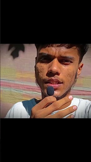 How The Algorithm Works ?