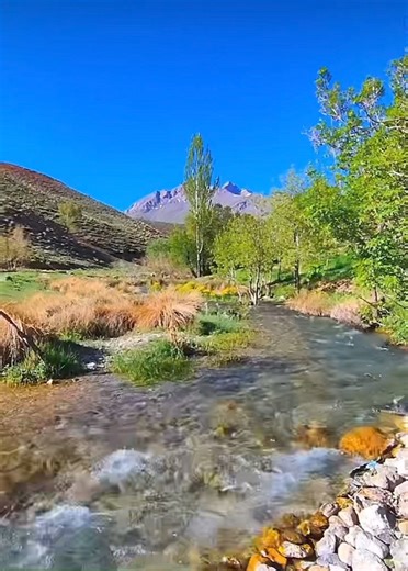 🌳🌾🍃💖🌾🍃🌳 | Nature