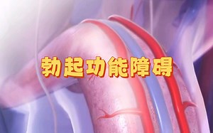 勃起功能障碍（ED）