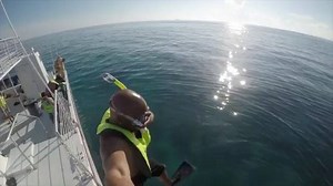 3.4K views · 33 reactions | Check out this awesome video recorded,...