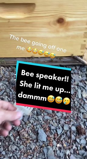 Can Bees Talk? Listen to Bees Communicate through a Cup
