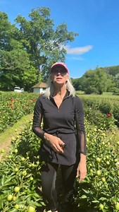 3.8K reactions · 78 comments | Peony picking season is upon us AND our cutting fields will be opening this Friday!! Kathleen has explained the perfect way to pick our luxurious flowers!! Please stay tuned for more details ☺️ #peonysenvy #garden #peony #peonies #cutflowers #bouquet | Peony's Envy | Facebook