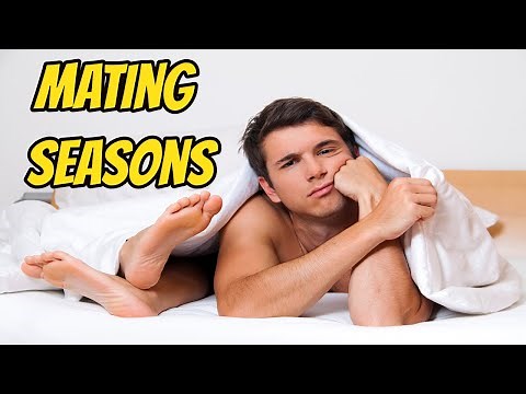 Do Humans Have Mating Seasons?