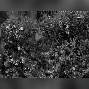 136K views · 1.4K reactions | Combat! S3EP12 A Rare Vintage (1964) 1/3 #combat1962 | Best Tv War Movies | Facebook