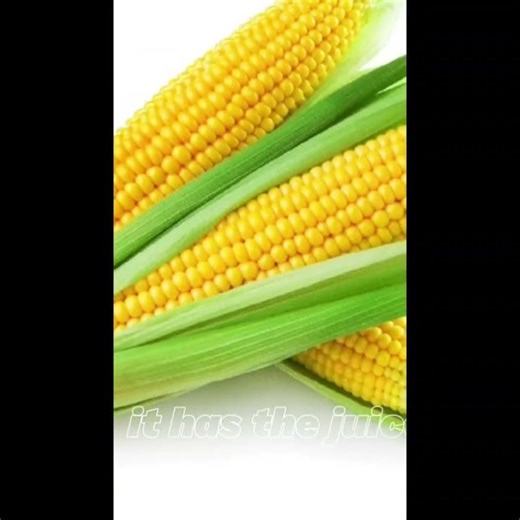 Corn hub #corn #dailyfeeds #show #1million #views #furst #cornbhel