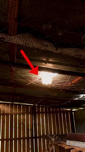 Electricity-Free Light Bulb! | Man Stuff