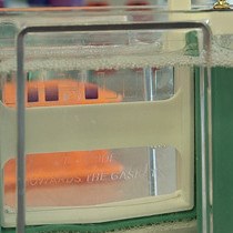 Video: Analysis of SCAP N-glycosylation and Trafficking in Human Cells