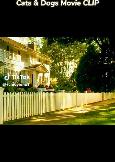 Cats & Dogs Movie CLIP - Catnapped (2001) 4k #filmclips #filmclips #film #fypシ #fyp #foryoupage #rcmovieno1 #tiktokshortfilm