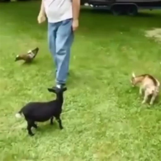 Innovative Trends in Robotics: The Rise of Smart Bots