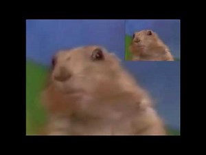 The Dramatic Chipmunk Has A Sparta Extended Remix